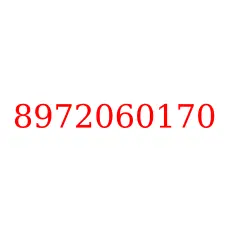 8972060170