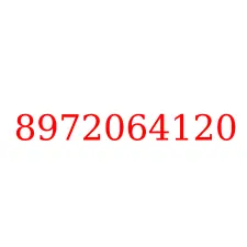 8972064120