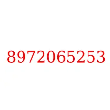 8972065253
