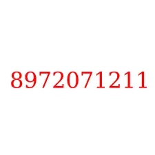 8972071211