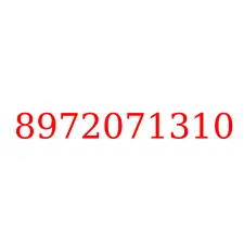 8972071310