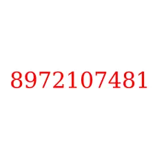 8972107481