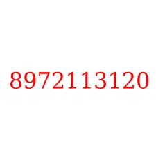 8972113120
