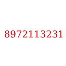 8972113231