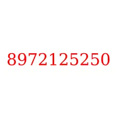 8972125250