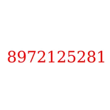 8972125281