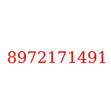 8972171491