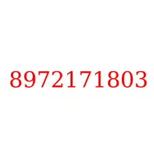 8972171803