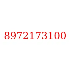 8972173100