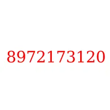 8972173120