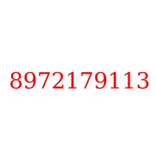 8972179113