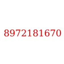 8972181670