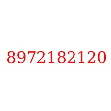 8972182120