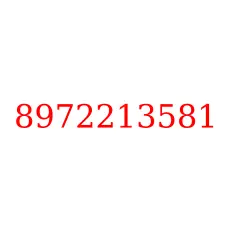 8972213581