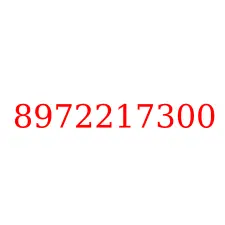 8972217300