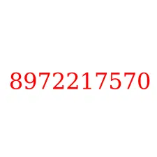 8972217570
