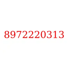 8972220313