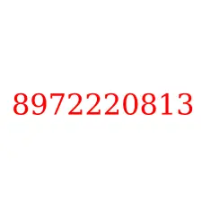 8972220813