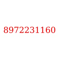 8972231160