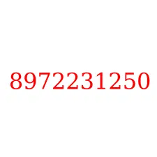 8972231250