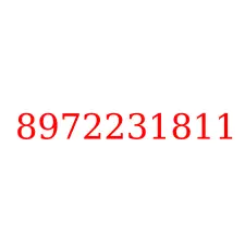 8972231811