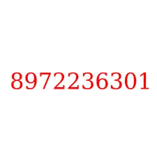 8972236301