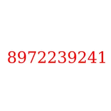 8972239241