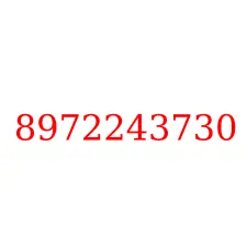 8972243730