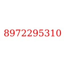 8972295310