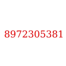 8972305381