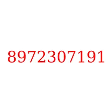 8972307191