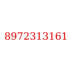 8972313161
