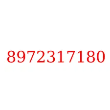 8972317180