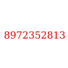 8972352813