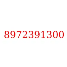8972391300
