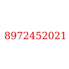 8972452021
