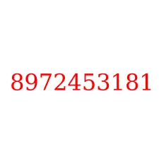 8972453181
