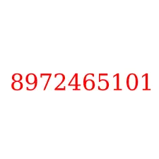 8972465101