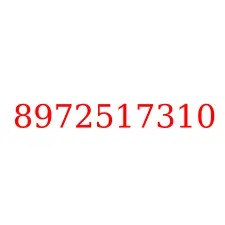 8972517310