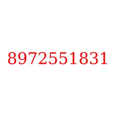 8972551831