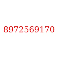 8972569170