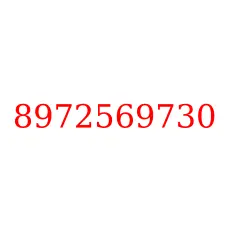 8972569730
