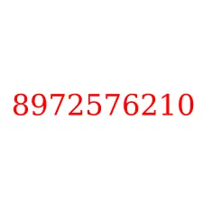 8972576210