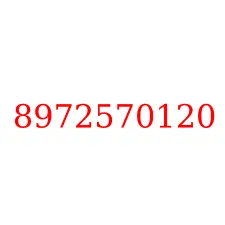 8972570120