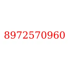 8972570960