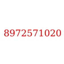 8972571020