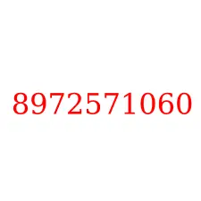 8972571060