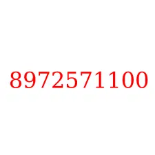 8972571100