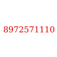 8972571110
