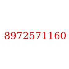 8972571160